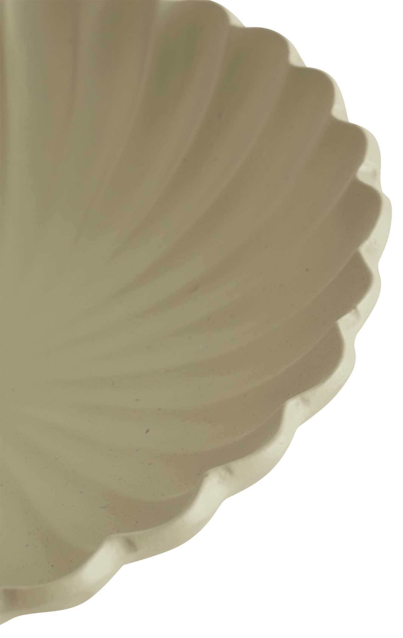 il_340x270.6093005849_1drx.jpg